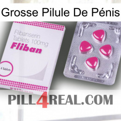 Grosse Pilule De Pénis 32